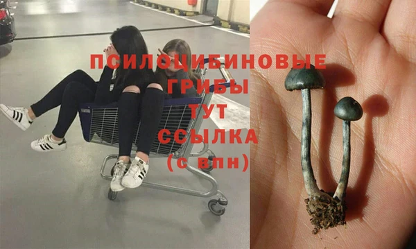 амф Медвежьегорск