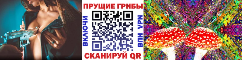 Псилоцибиновые грибы мицелий  цена   Липецк 